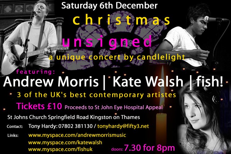 Christmas Unsigned 2008 poster